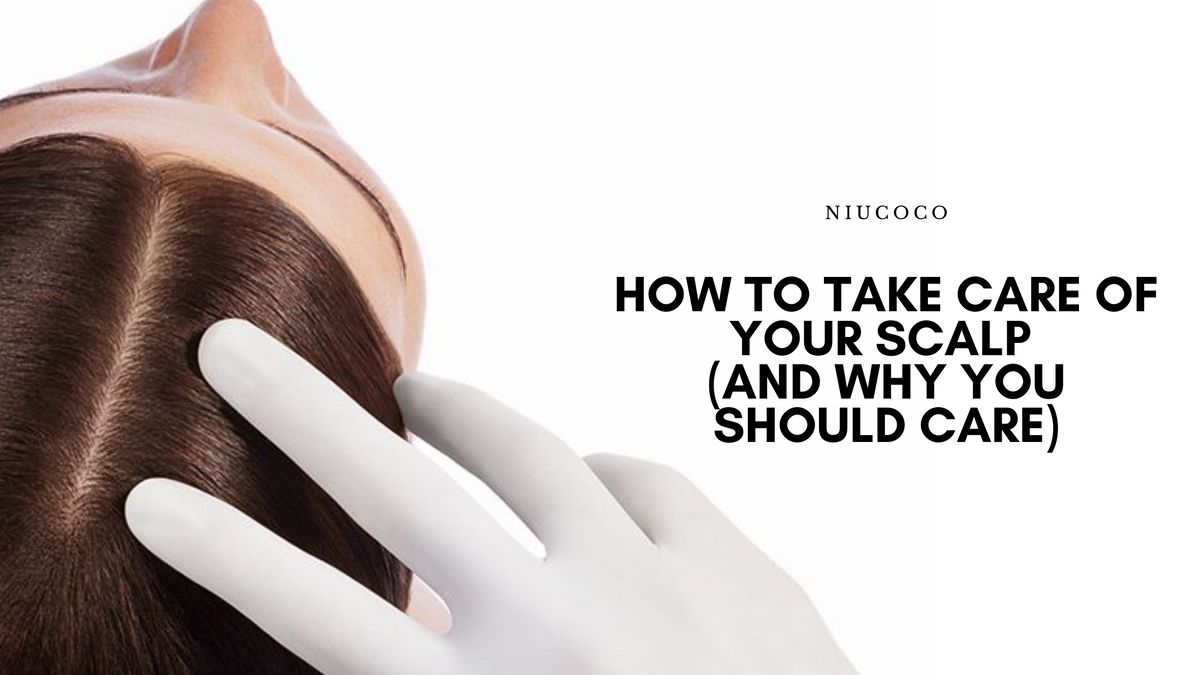 How to Take Care of Your Scalp (and Why You Should Care) – NIUCOCO